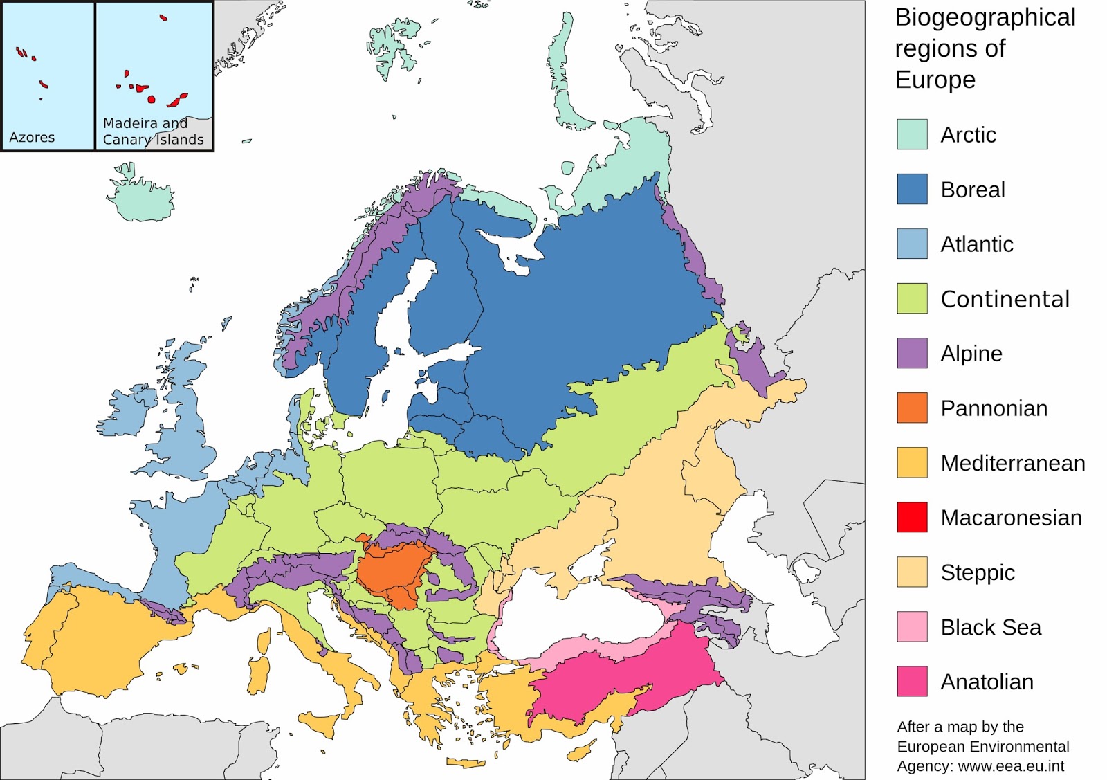 Bioclimatic Map & Biogeographical regions of Europe Vivid Maps