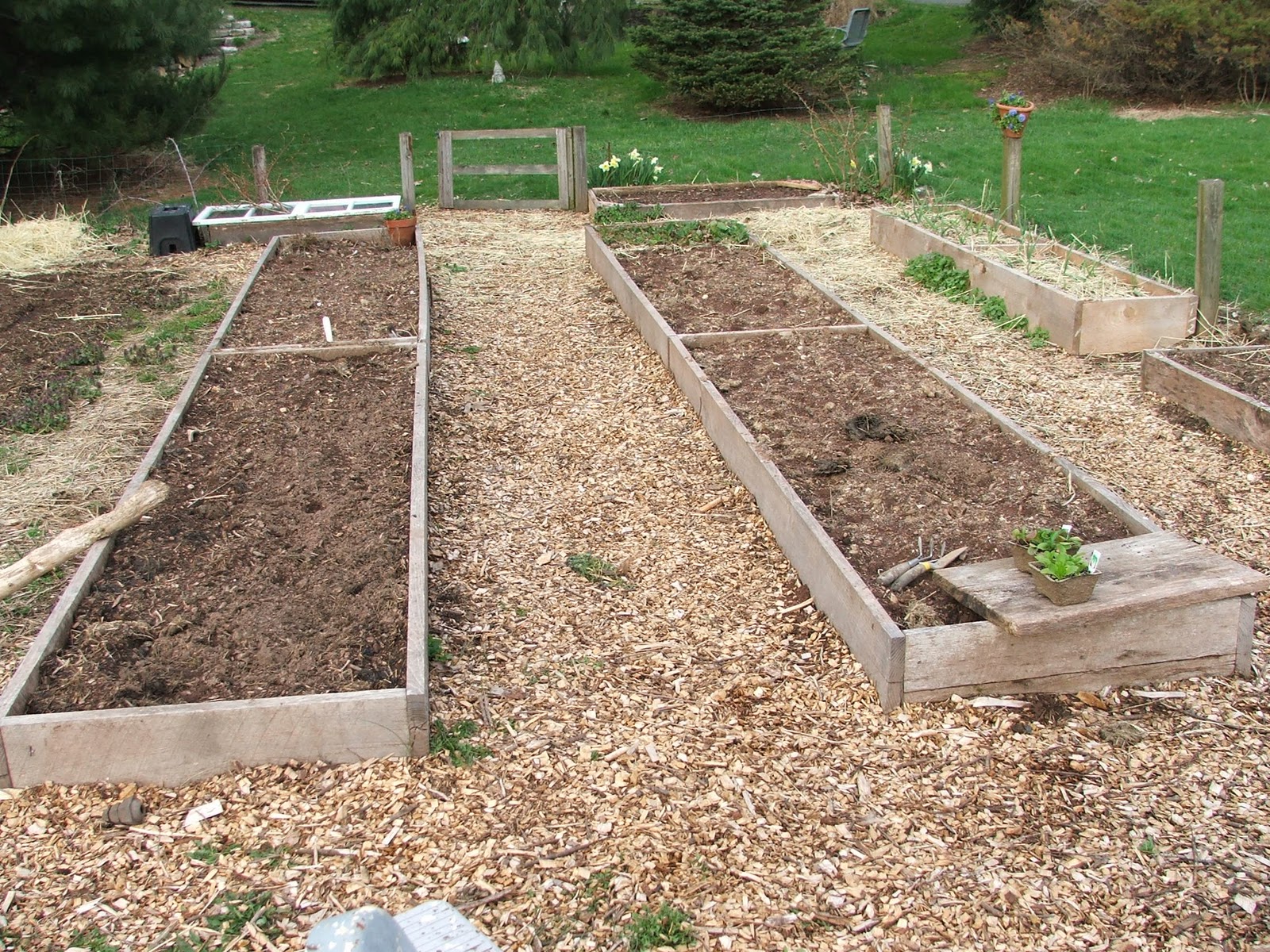 Covering Raised Beds With Black Plastic Covering Raised Beds With Black Plastic