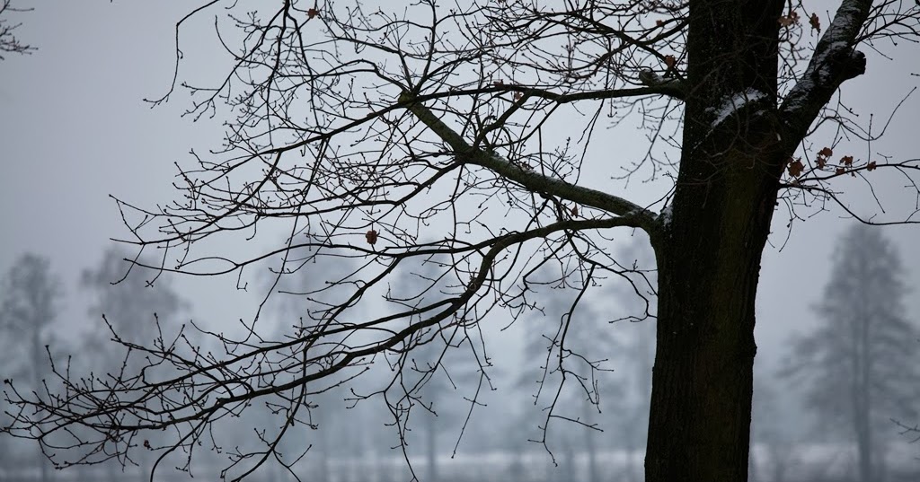 Kinder-Gedichte-Welt: Im Winter - ein Gute-Nacht-Gedicht