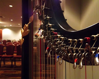 Harp Player in Springfield