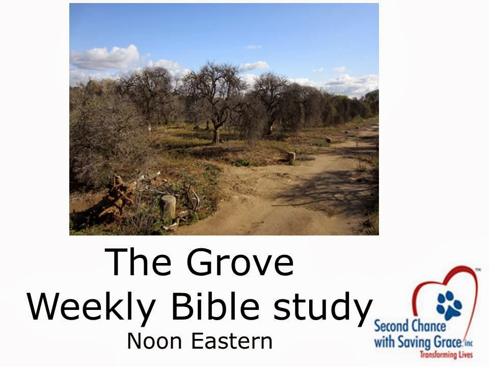 Dr. Diane Dike and Friends 501c(3) Nonprofit The Grove Bible Study