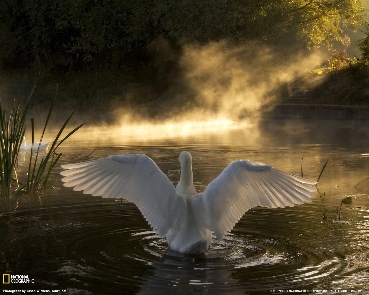 http://2.bp.blogspot.com/-rTWcCHXFRKA/ULtjuc_0g0I/AAAAAAAAD-c/cuKWkLhQlRs/s1600/Bestwallpapers2009fromNationalGeographic_12.jpg