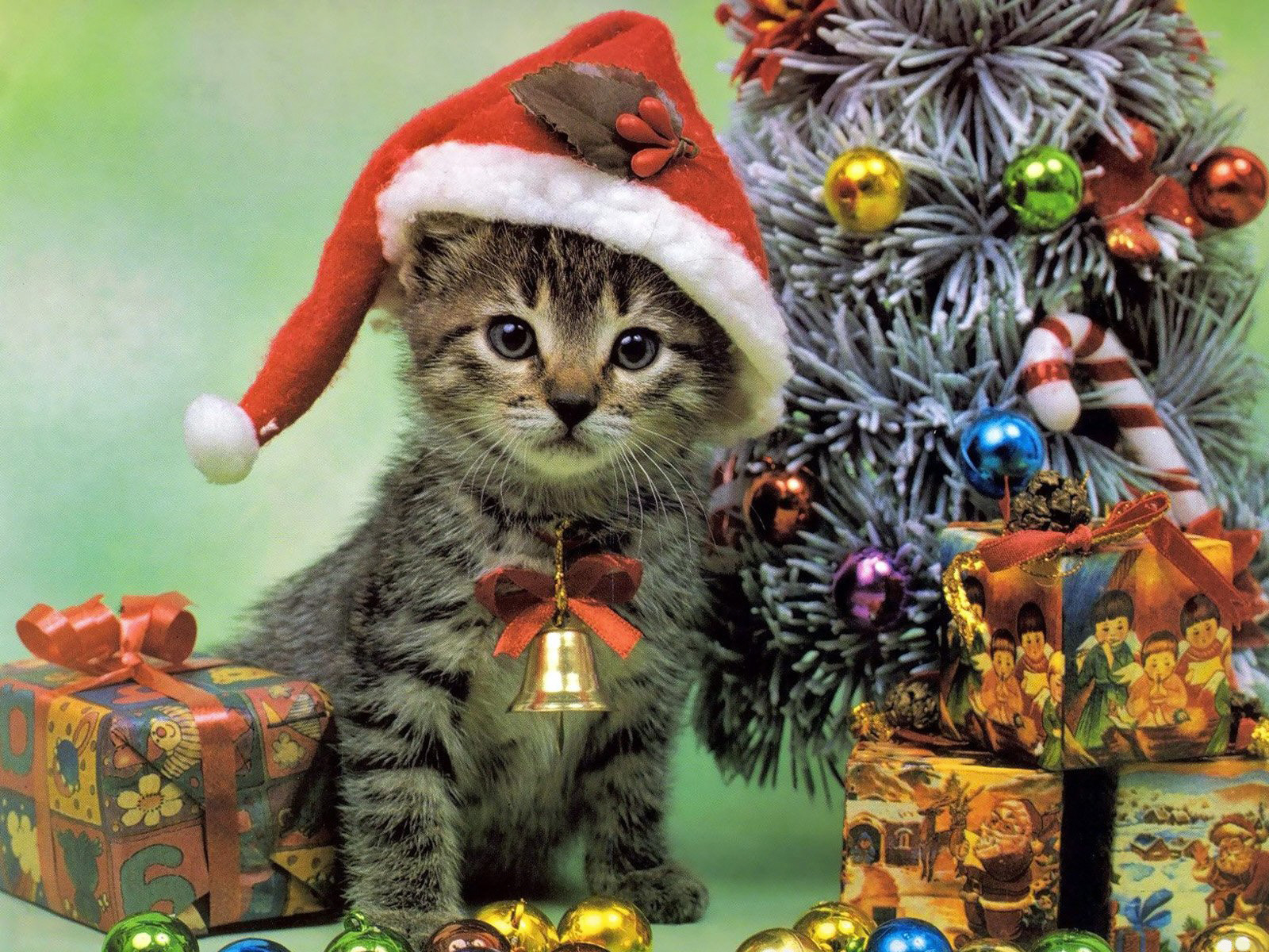 Christmas Wallpapers and Images and Photos Xmas animals wallpapers