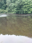 River Severn at Trimpley