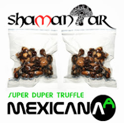 Psilocybe Mexicana - Magic Truffles Shop