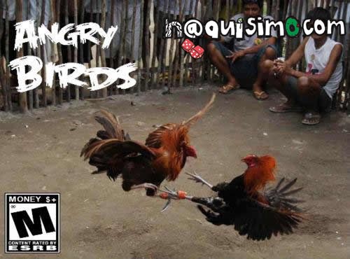 angry birds naco