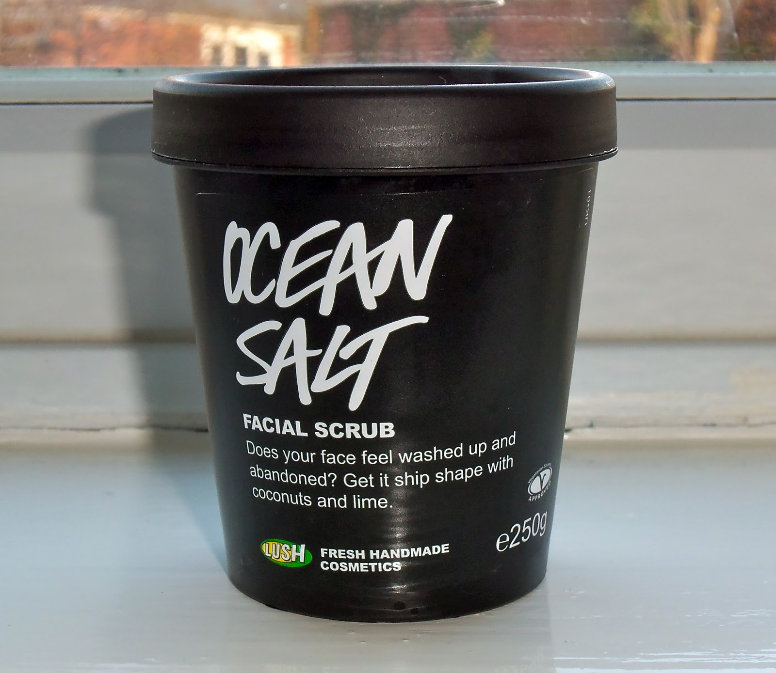 Beauty and Beyond.... Review Lush Ocean Salt facial scrub