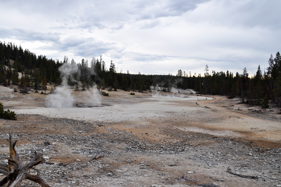 Backcountry thermal area