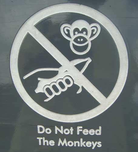 do not feed the monkeys download free