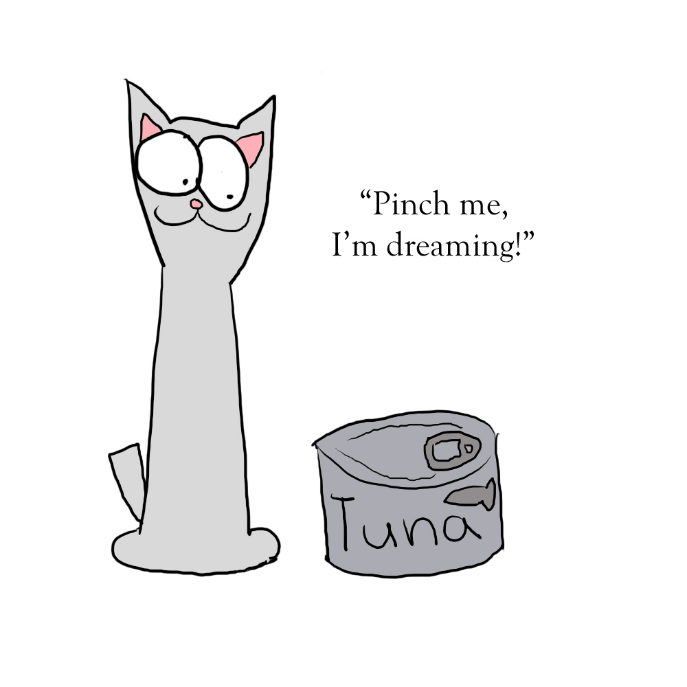 Bobbie and Friends: I&rsquo;m dreaming!