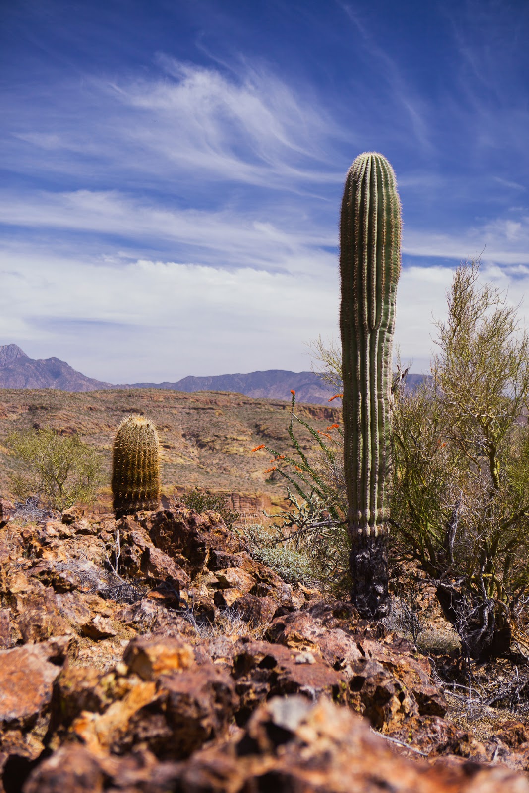 Superstition Mountains w/REI / blog.jchongstudio.com