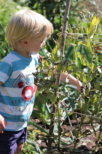 natural childhood