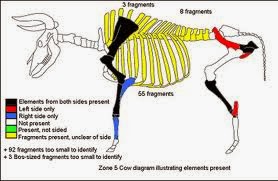 December 2013 | Veterinary