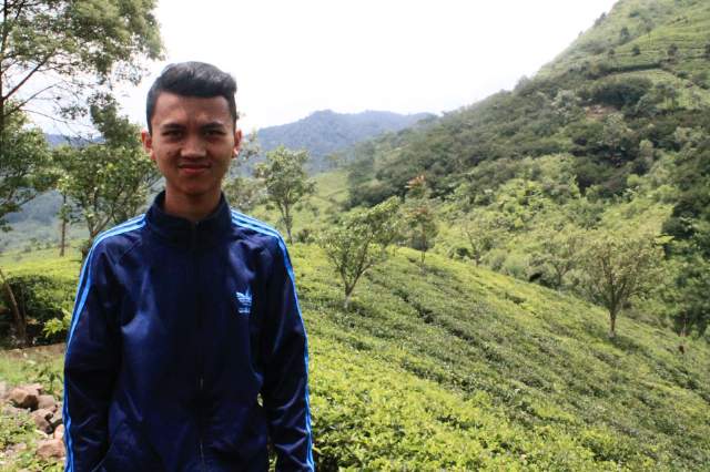 Opsi truk pemindah terbaik