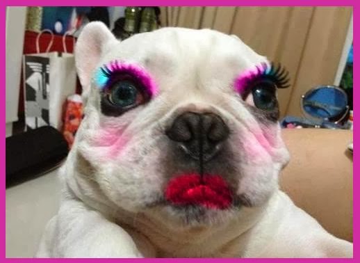 150 Funny Bulldog Names