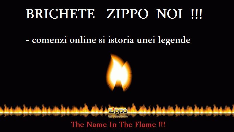 BRICHETE  ZIPPO - "The Name in the Flame"