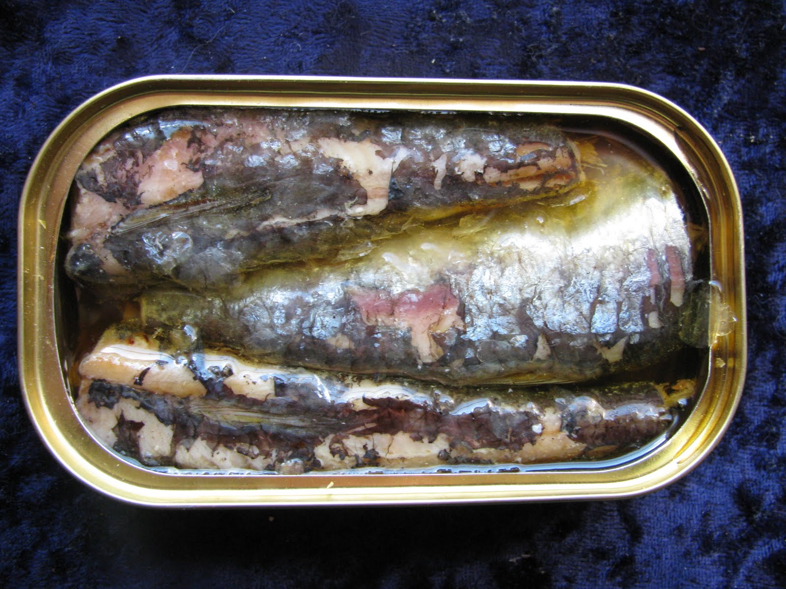 Mouth Full of Sardines GRANADAISA 46