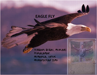 eagle fly