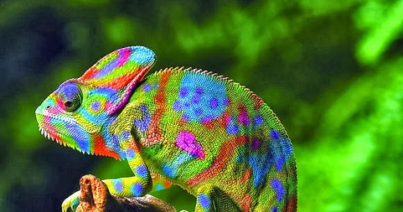 Why Does Instagram Change The Color Of My Picture