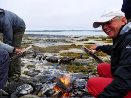 Helgeland juli 2011