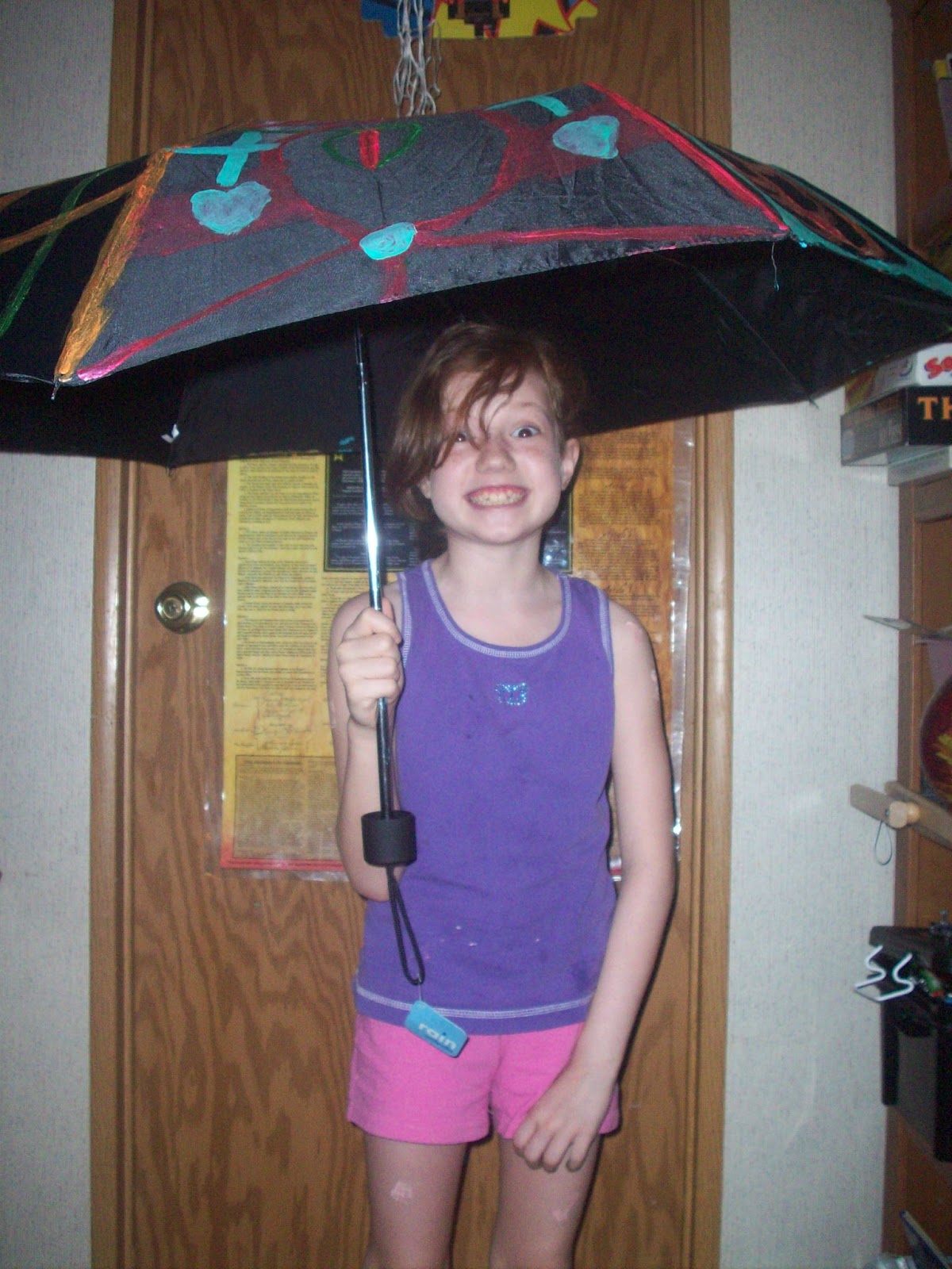 Why is it important to categorize information from related literature picture