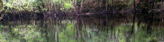 Chicken Wire Canoe