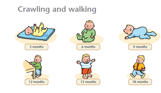 crawling and walking
