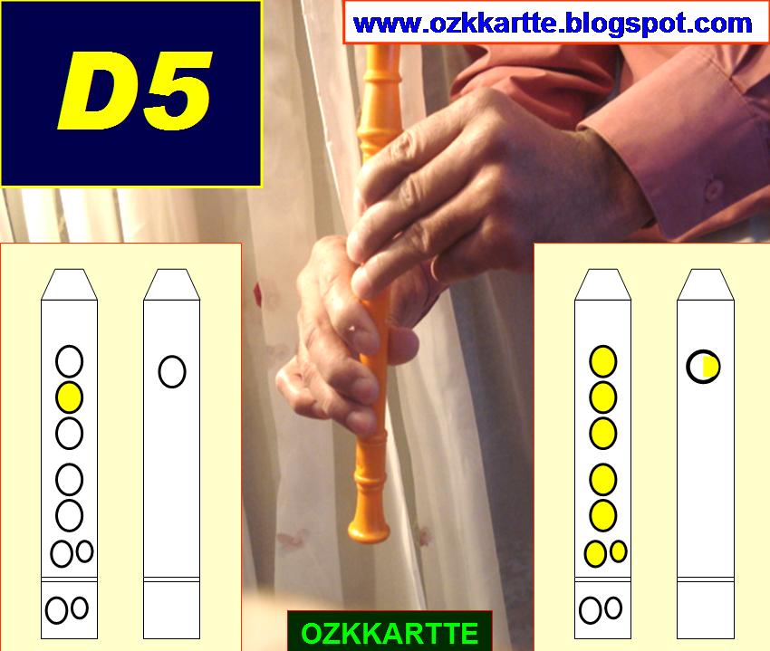 Flute Position D5