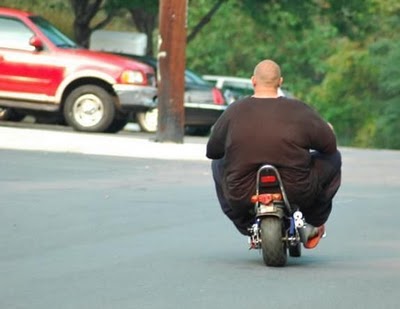 funny fat people pictures cini clips