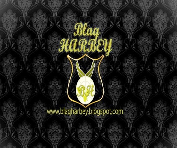 BLaq Blog Image