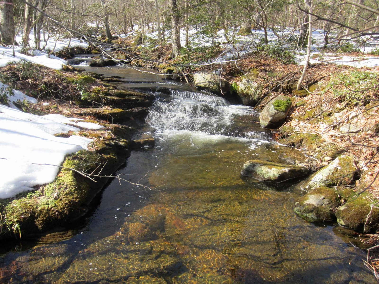 Trout Quest Redux Trout habitat?