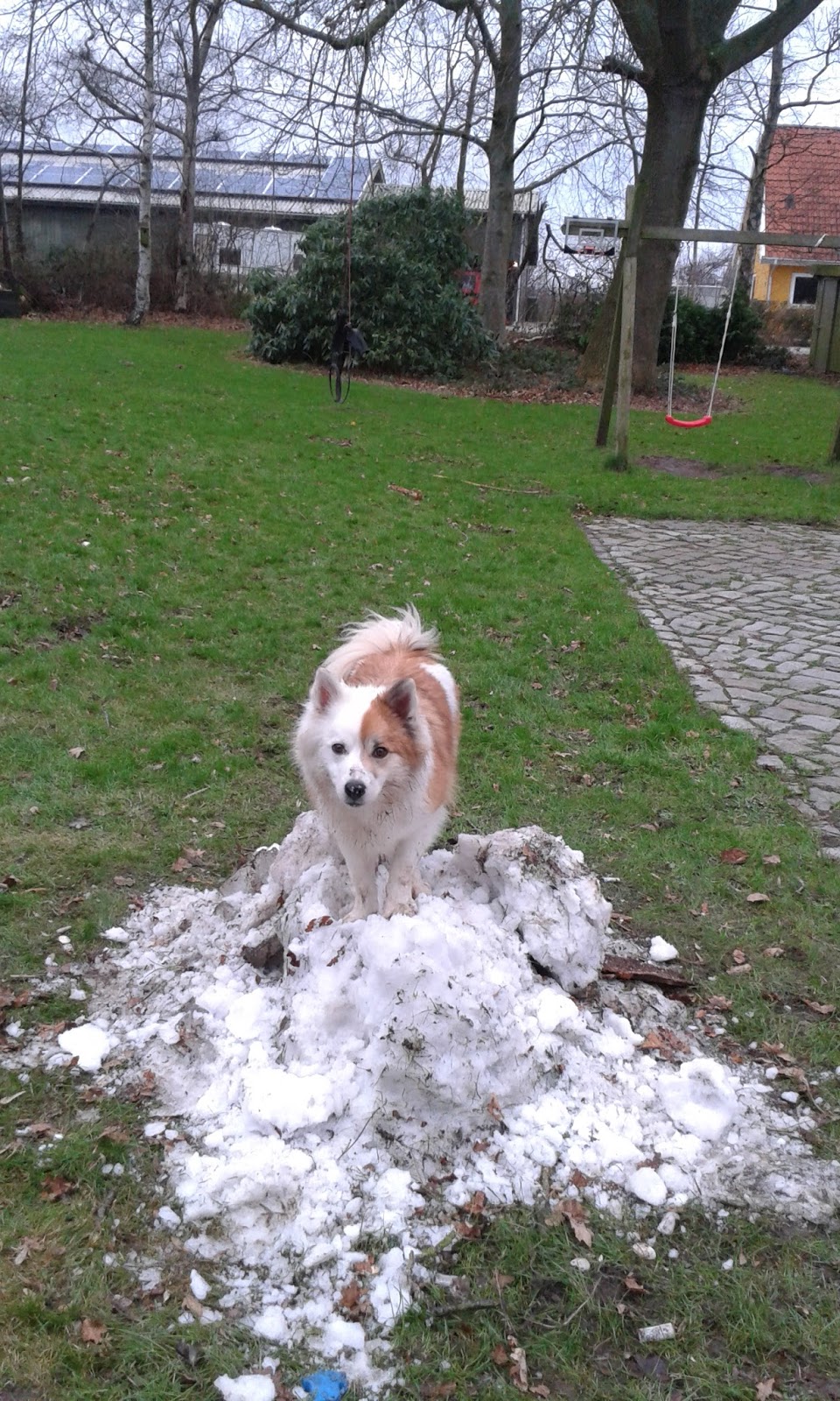 Captain Gosi January 2016