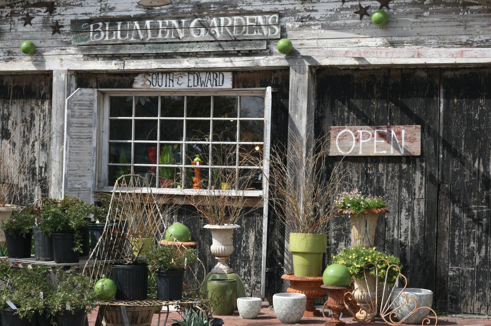 Goofy In A Good Way Another favorite shoppe, Blumen Gardens, in