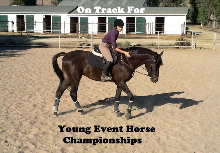 On Track for YEH Championships