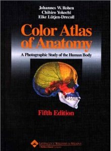 Atlas Fotografico De Anatomia Humana Rohen Yokochi Pdf Free