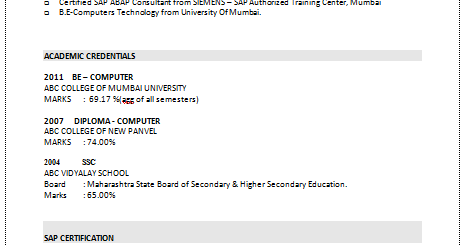 computer consultant resumes