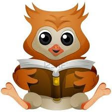 Reading is Fun! Go OWLS!