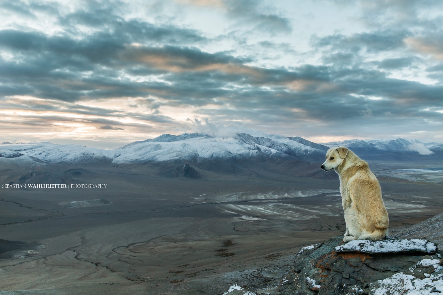 [Image: Blogspot.jpg]