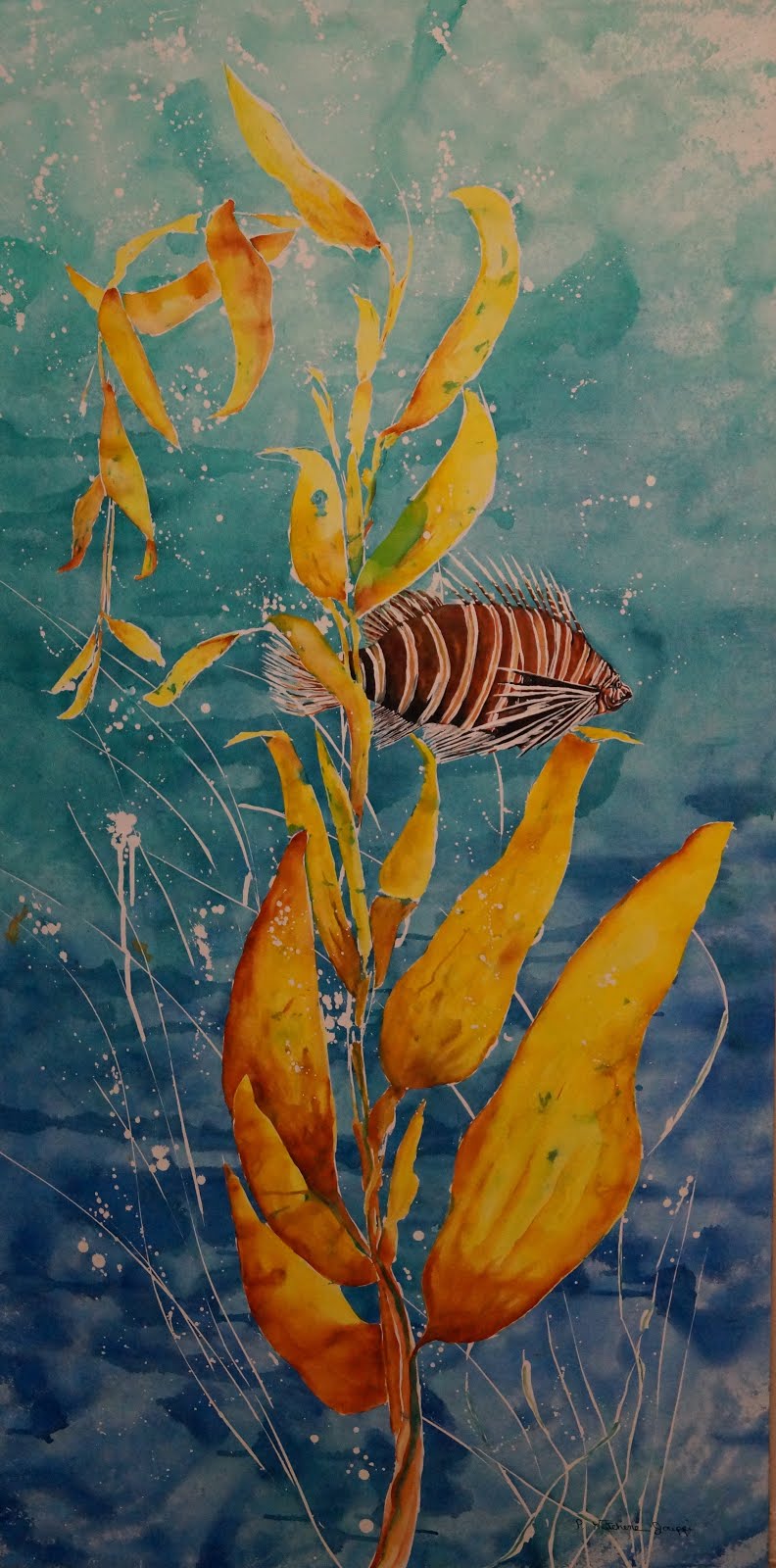 Lion in the kelp