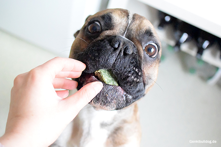 Frischkäse-Spinat Muffin Rezept für Hunde Frischkäse-Spinat Muffin Rezept für Hunde