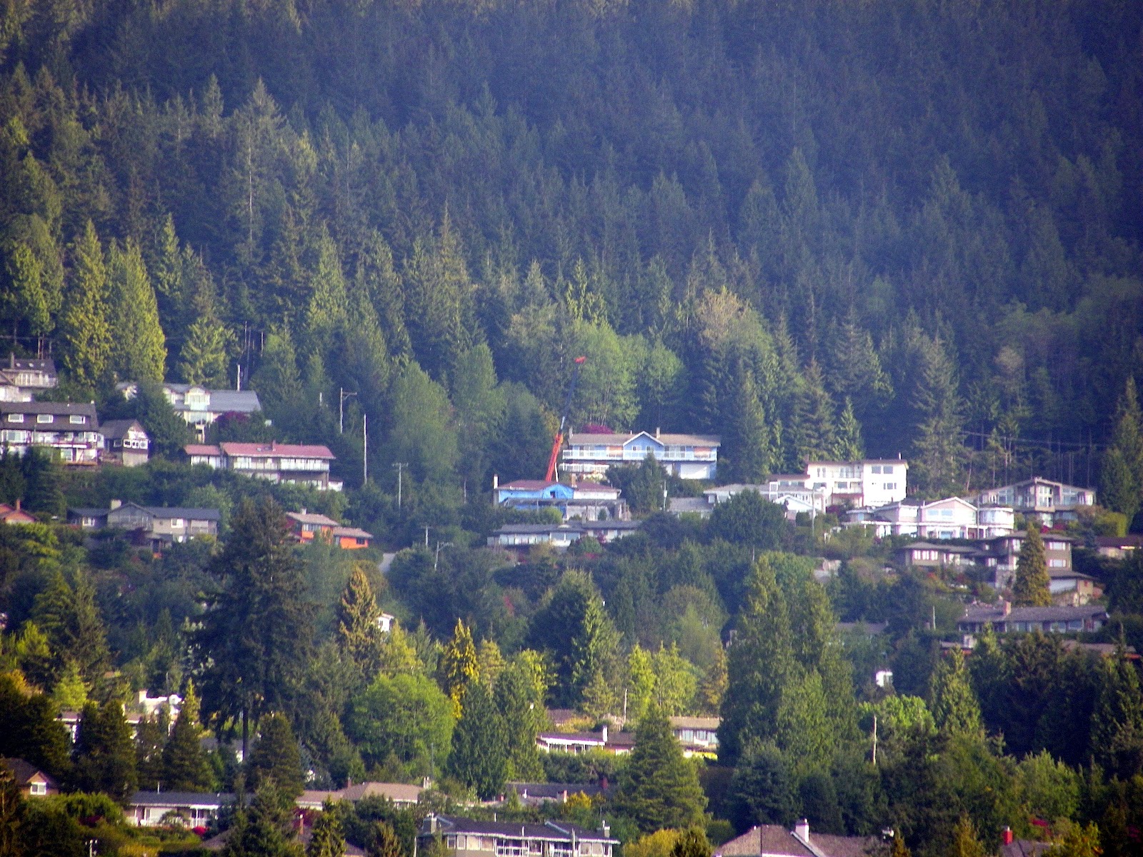 Something Being Built