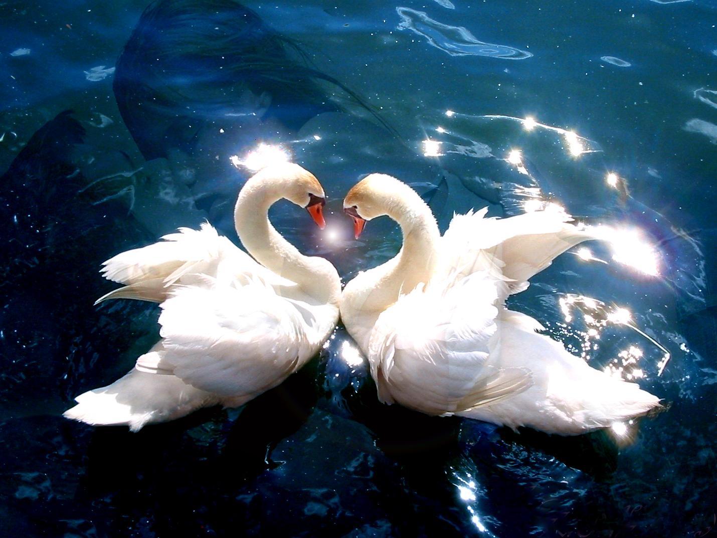 Signs a hookup is falling for you