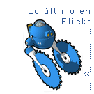 Lo último en Flickr