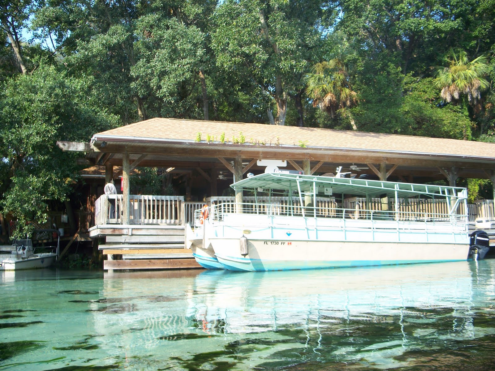 Kayaking Kayaking Weeki Wachee to Rogers Park 8/29/11