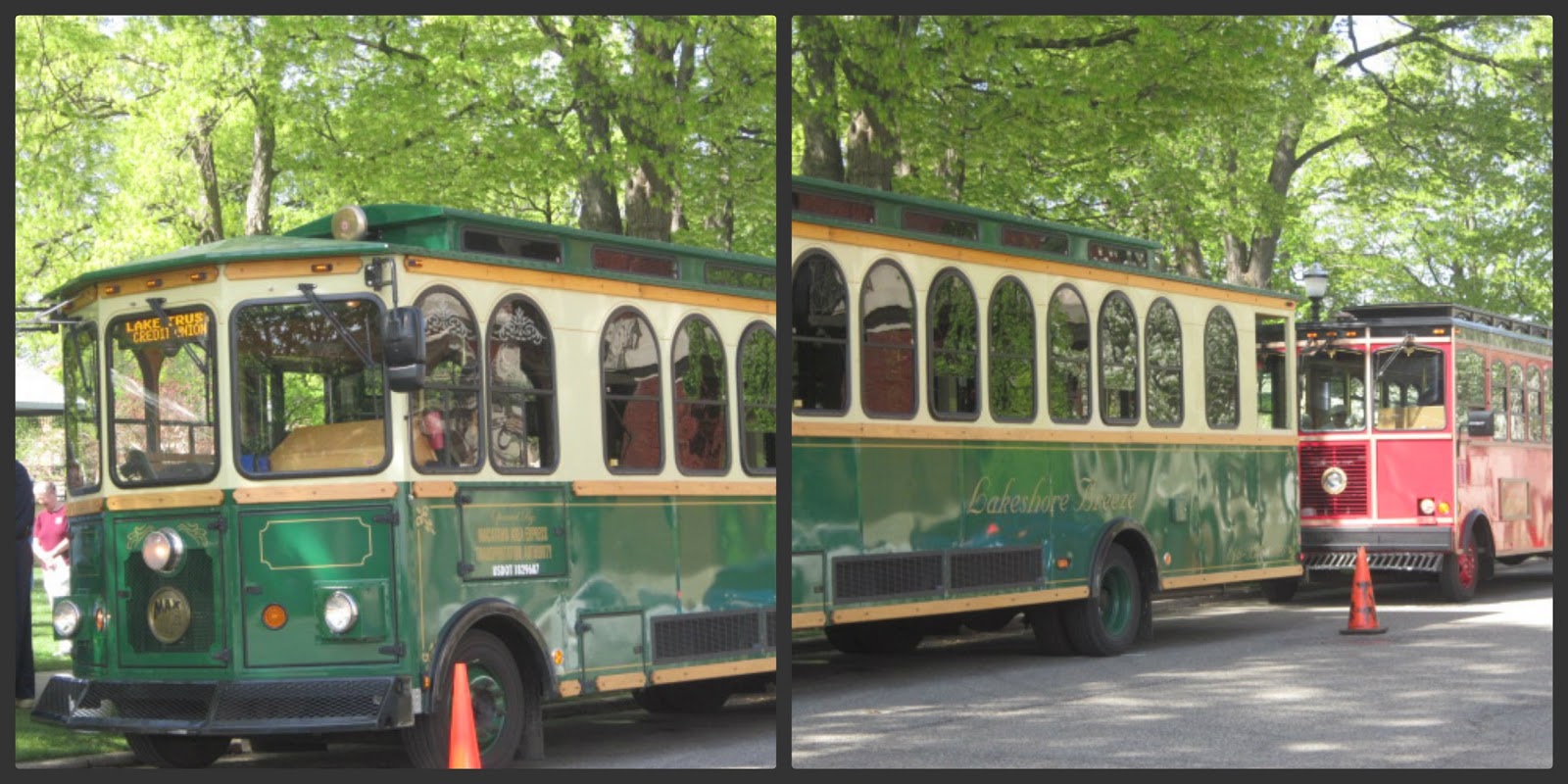 Relevant Tea Leaf English Cottage Tea Parlor, Grand Rapids, MI