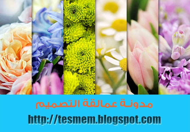 مدونة عمالقة التصميم مجموعة من صور و خلفيات زهور و ورود جميلة جدا وعالية الجودة Hd