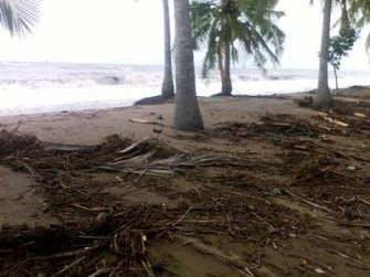 2012 - Indonesia: Sisma 7.3 a Sumatra, allarme tsunami - Pagina 4 BanjirRobdiLapang335x251custom+(1)