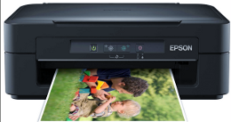 скачать драйвера для epson xp-100