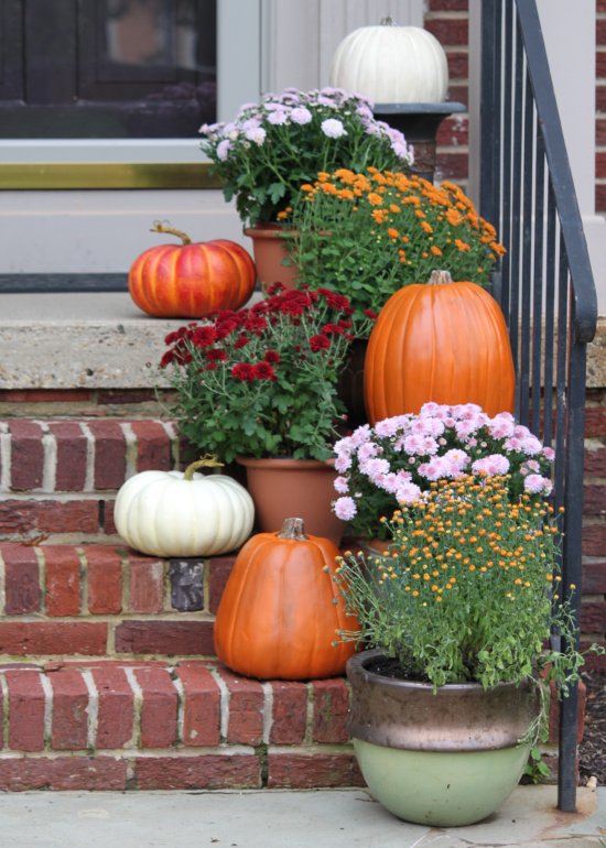 HOUSEography Fall Front Stoop