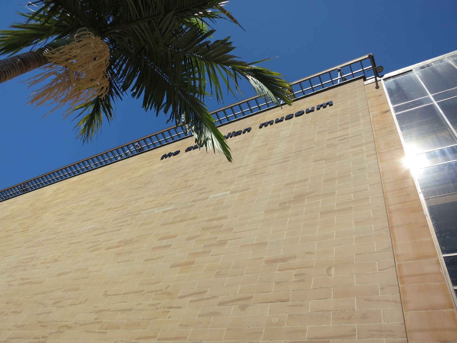 Sydney - Australia: Australian Museum wall
